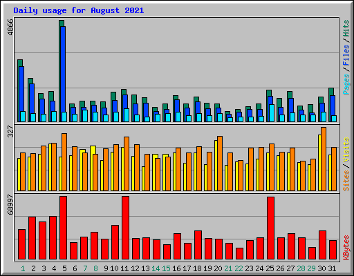 Daily usage for August 2021