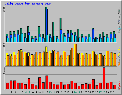 Daily usage for January 2024