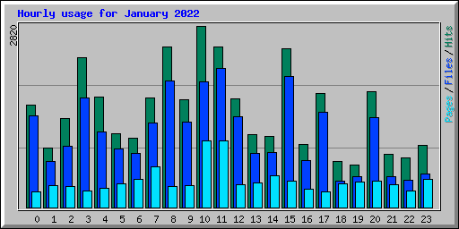 Hourly usage for January 2022