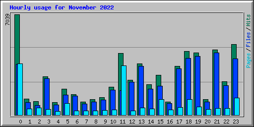 Hourly usage for November 2022