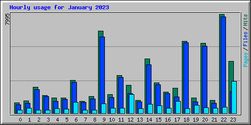 Hourly usage for January 2023