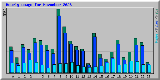 Hourly usage for November 2023