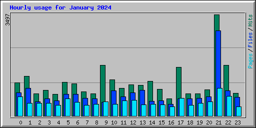 Hourly usage for January 2024