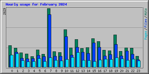 Hourly usage for February 2024